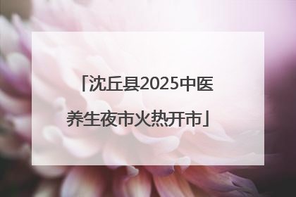 沈丘县2025中医养生夜市火热开市