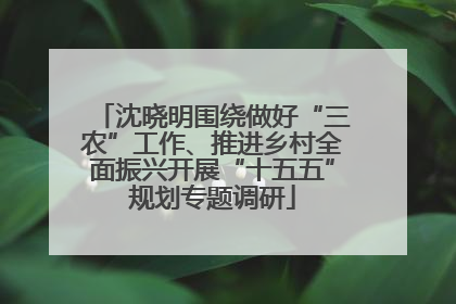 沈晓明围绕做好“三农”工作、推进乡村全面振兴开展“十五五”规划专题调研