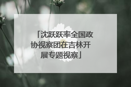 沈跃跃率全国政协视察团在吉林开展专题视察