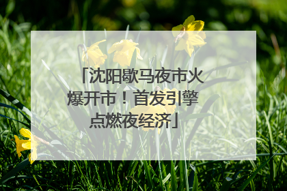 沈阳歇马夜市火爆开市！首发引擎点燃夜经济