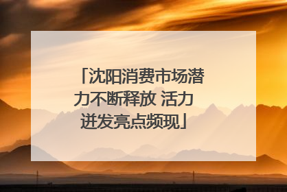 沈阳消费市场潜力不断释放 活力迸发亮点频现
