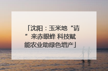 沈阳：玉米地“请”来赤眼蜂 科技赋能农业助绿色增产