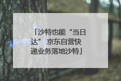 沙特也能“当日达” 京东自营快递业务落地沙特