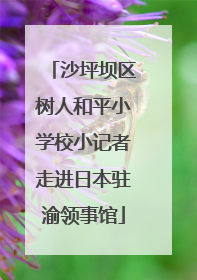 沙坪坝区树人和平小学校小记者走进日本驻渝领事馆