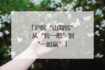 沪皖“山海情”：从“拉一把”到“一起赢”