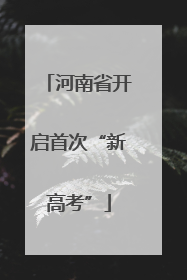河南省开启首次“新高考”