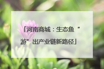 河南商城：生态鱼“游”出产业链新路径