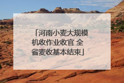河南小麦大规模机收作业收官 全省麦收基本结束