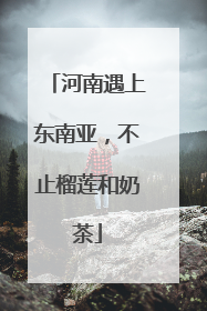河南遇上东南亚，不止榴莲和奶茶