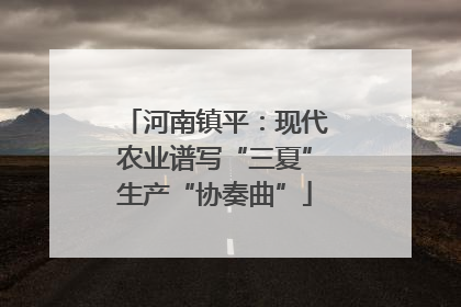 河南镇平：现代农业谱写“三夏”生产“协奏曲”
