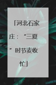 河北石家庄：“三夏”时节麦收忙