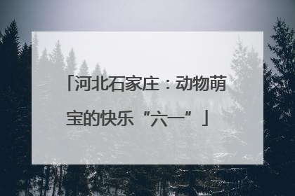 河北石家庄：动物萌宝的快乐“六一”