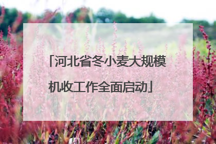 河北省冬小麦大规模机收工作全面启动