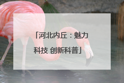 河北内丘：魅力科技 创新科普