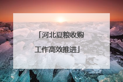 河北夏粮收购工作高效推进