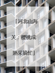 河北山海关：樱桃成熟采摘忙