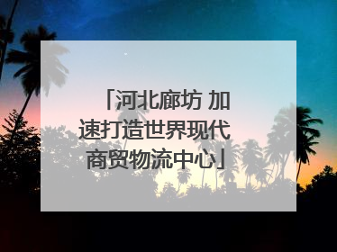 河北廊坊 加速打造世界现代商贸物流中心