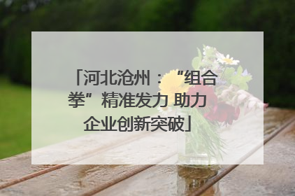 河北沧州：“组合拳”精准发力 助力企业创新突破