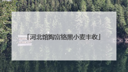 河北馆陶富铬黑小麦丰收