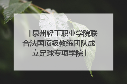 泉州轻工职业学院联合法国顶级教练团队成立足球专项学院