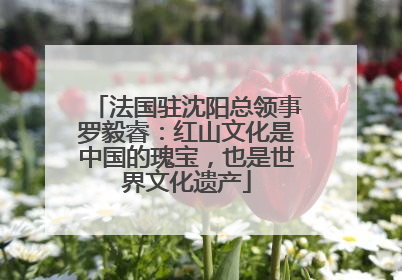 法国驻沈阳总领事罗毅睿：红山文化是中国的瑰宝，也是世界文化遗产