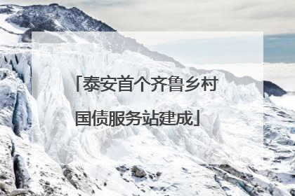 泰安首个齐鲁乡村国债服务站建成