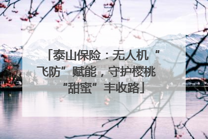 泰山保险：无人机“飞防”赋能，守护樱桃“甜蜜”丰收路