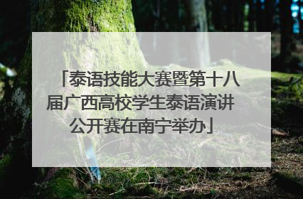 泰语技能大赛暨第十八届广西高校学生泰语演讲公开赛在南宁举办