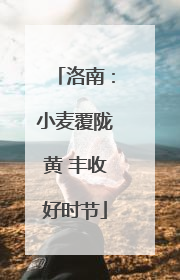 洛南：小麦覆陇黄 丰收好时节