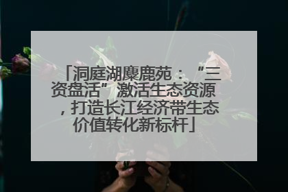 洞庭湖麋鹿苑：“三资盘活”激活生态资源，打造长江经济带生态价值转化新标杆