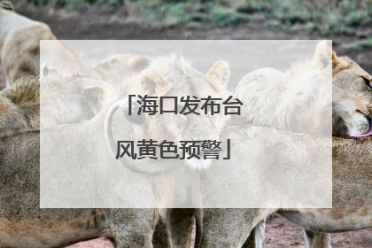 海口发布台风黄色预警