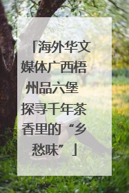 海外华文媒体广西梧州品六堡 探寻千年茶香里的“乡愁味”
