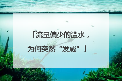 流量偏少的澧水，为何突然“发威”