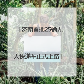 济南首批25辆无人快递车正式上路