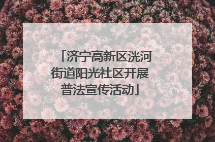 济宁高新区洸河街道阳光社区开展普法宣传活动