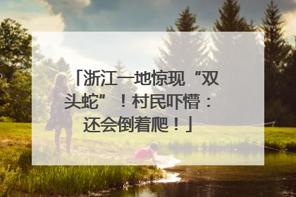 浙江一地惊现“双头蛇”！村民吓懵：还会倒着爬！