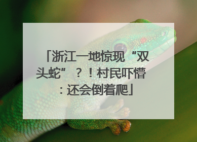 浙江一地惊现“双头蛇”？！村民吓懵：还会倒着爬