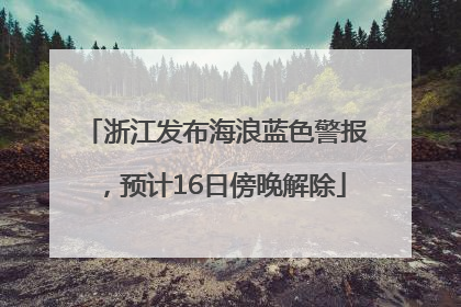 浙江发布海浪蓝色警报，预计16日傍晚解除