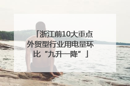 浙江前10大重点外贸型行业用电量环比“九升一降”