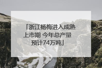浙江杨梅进入成熟上市期 今年总产量预计74万吨