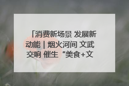 消费新场景 发展新动能｜烟火河间 文武交响 催生“美食+文化”消费新场景