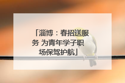 淄博：春招送服务 为青年学子职场保驾护航