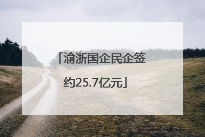 渝浙国企民企签约25.7亿元