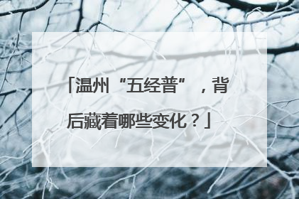 温州“五经普”，背后藏着哪些变化？