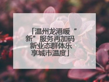 温州龙港暖“新”服务再加码 新业态群体乐享城市温度