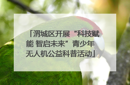 渭城区开展“科技赋能 智启未来”青少年无人机公益科普活动