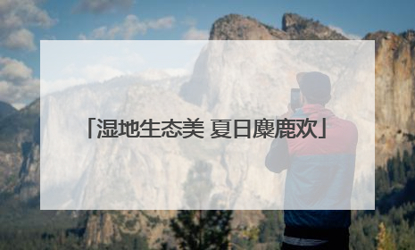 湿地生态美 夏日麋鹿欢