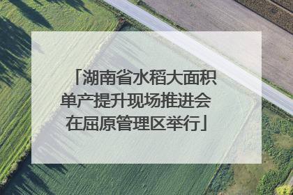 湖南省水稻大面积单产提升现场推进会在屈原管理区举行