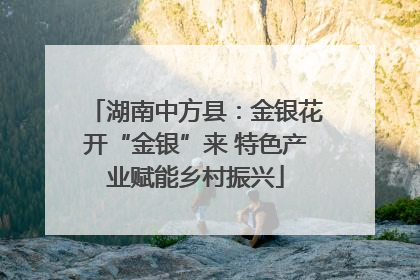 湖南中方县：金银花开“金银”来 特色产业赋能乡村振兴