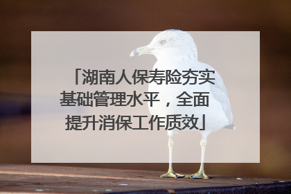 湖南人保寿险夯实基础管理水平，全面提升消保工作质效